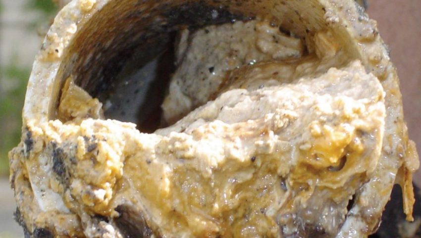 CCTV view inside a blocked drain showing thick fat and grease build-up coating the pipe walls in a Portsmouth property
