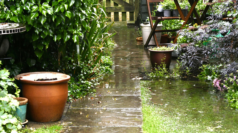 Flooded garden in Portsmouth during heavy rain with downpipes overflowing at ground drainage causing surface water pooling